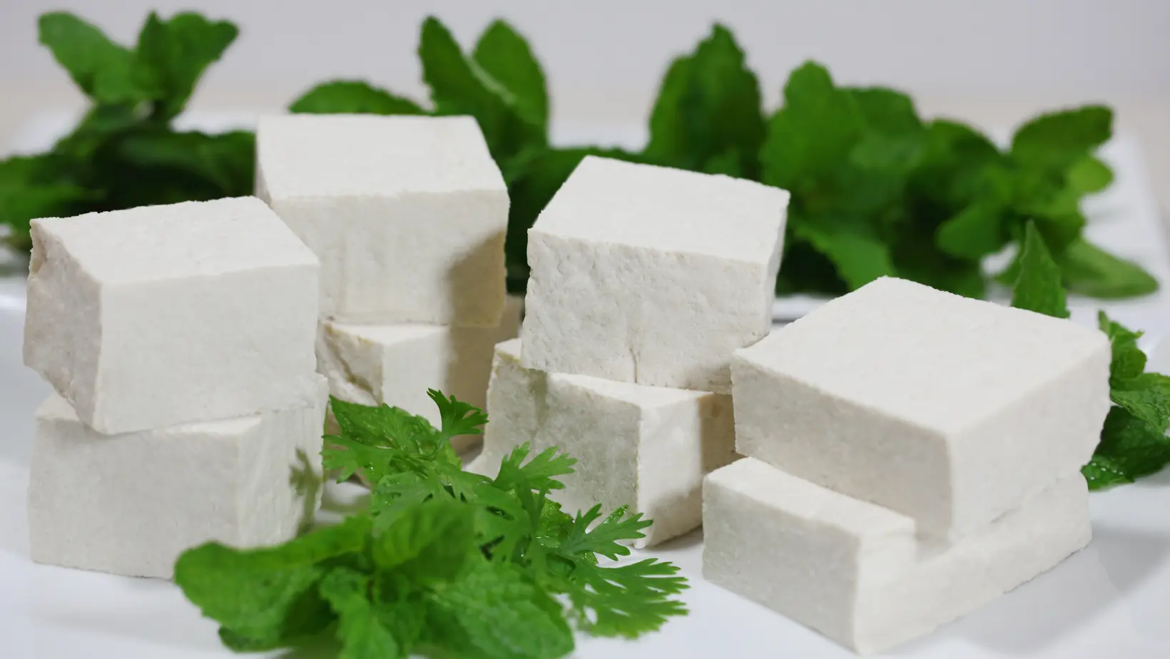 Malai-Paneer-in-Patna-2